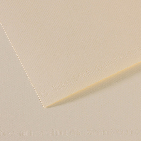 Canson 19in x 25in Artist Series Mi-Teintes Sheets