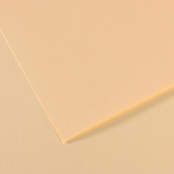 Canson 19in x 25in Artist Series Mi-Teintes Sheets