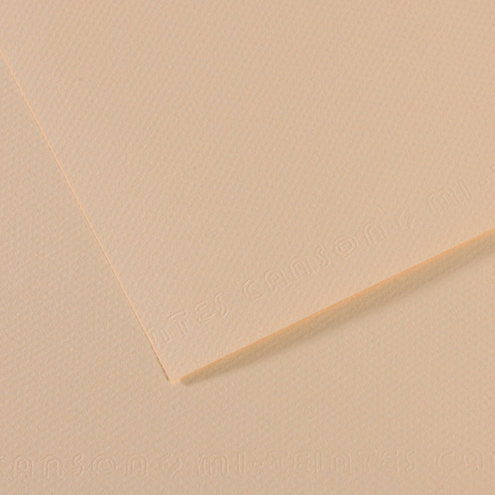 Canson 19in x 25in Artist Series Mi-Teintes Sheets