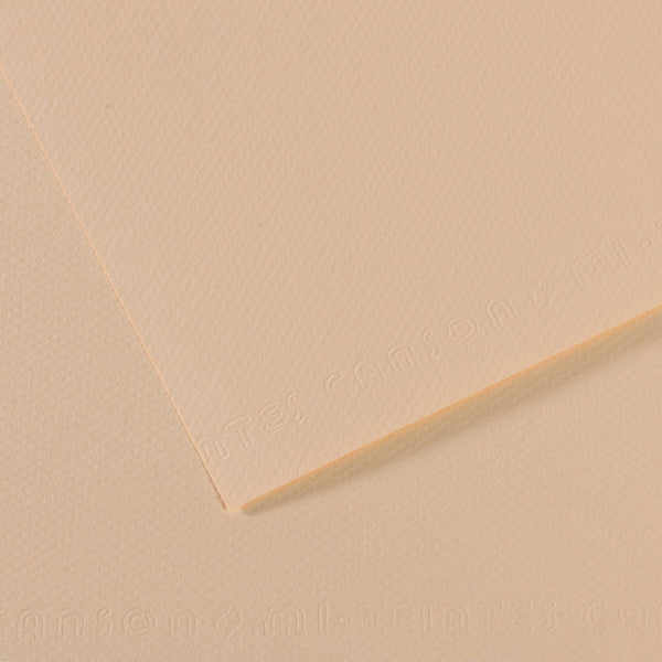 Canson 19in x 25in Artist Series Mi-Teintes Sheets
