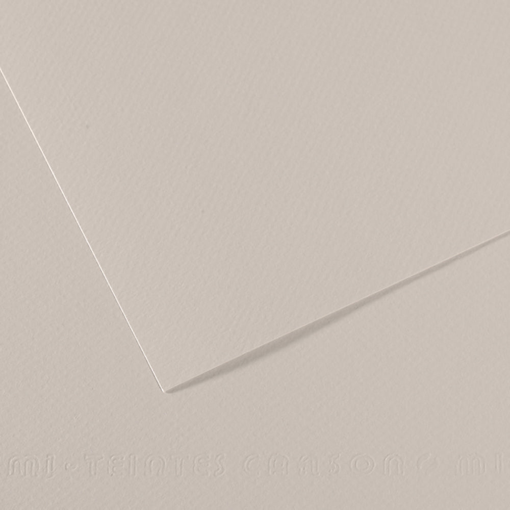 Canson 19in x 25in Artist Series Mi-Teintes Sheets