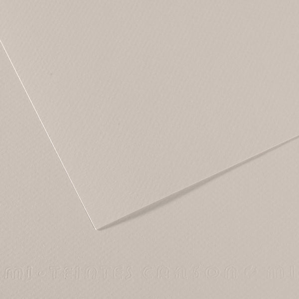 Canson 19in x 25in Artist Series Mi-Teintes Sheets