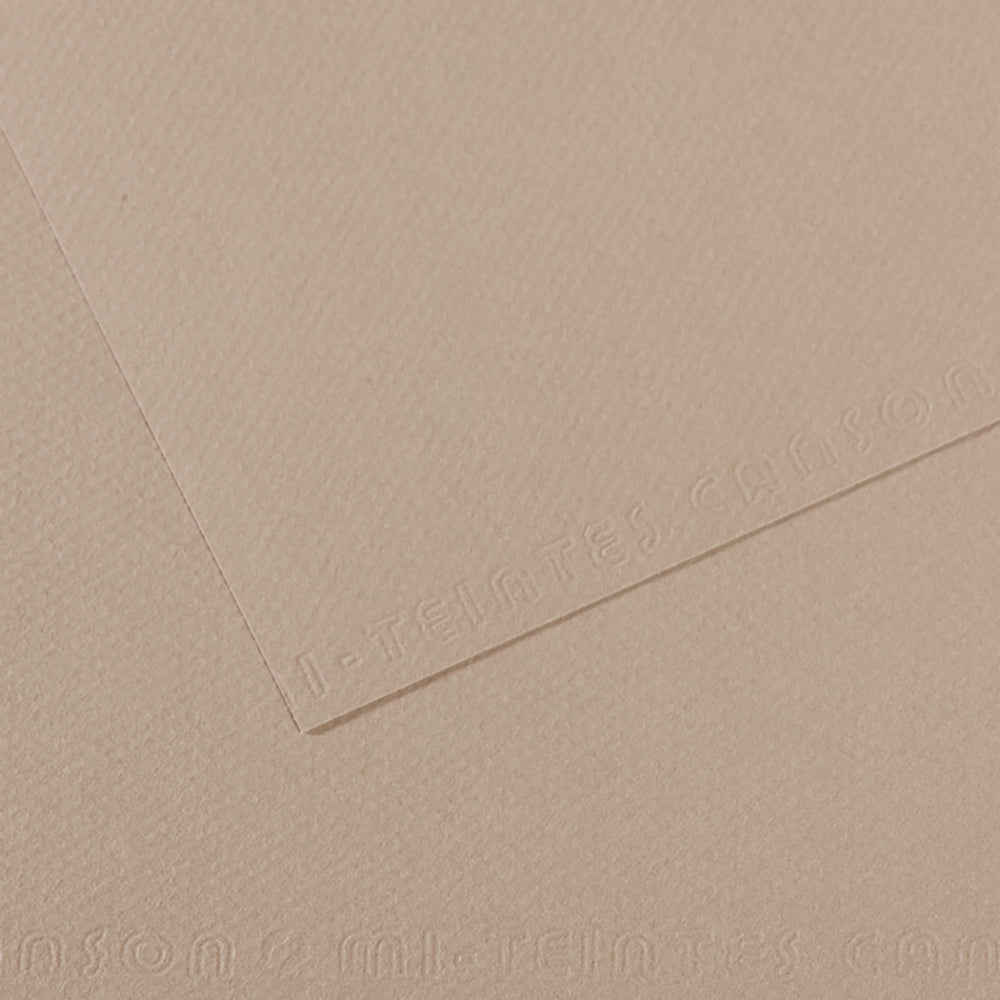 Canson 19in x 25in Artist Series Mi-Teintes Sheets