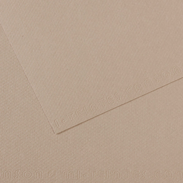 Canson 19in x 25in Artist Series Mi-Teintes Sheets