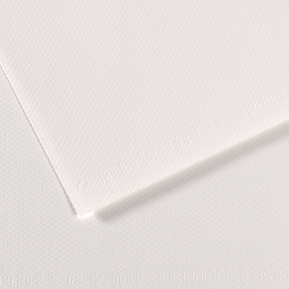 Canson 19in x 25in Artist Series Mi-Teintes Sheets