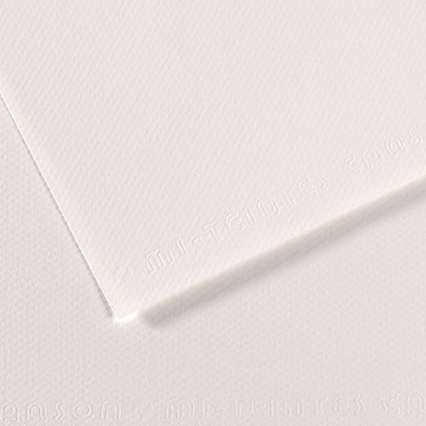 Canson 19in x 25in Artist Series Mi-Teintes Sheets