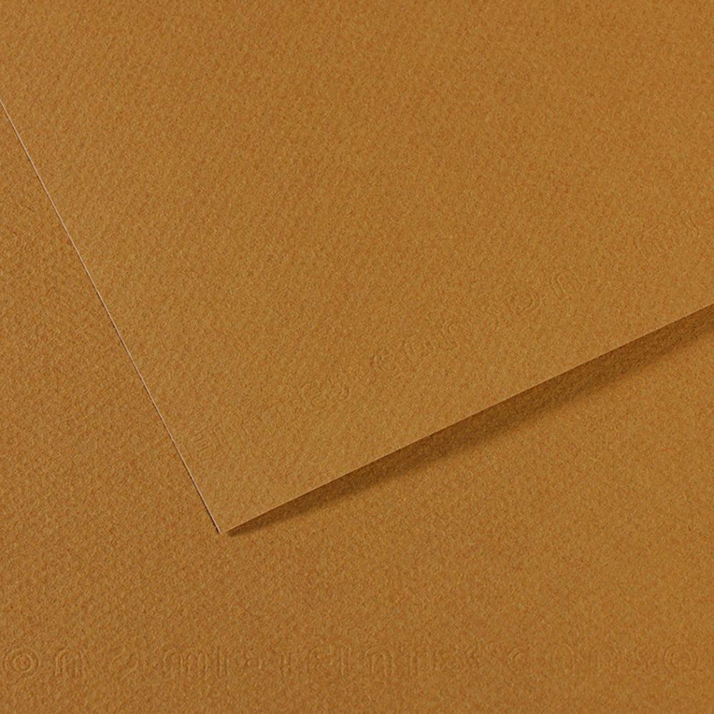 Canson 19in x 25in Artist Series Mi-Teintes Sheets