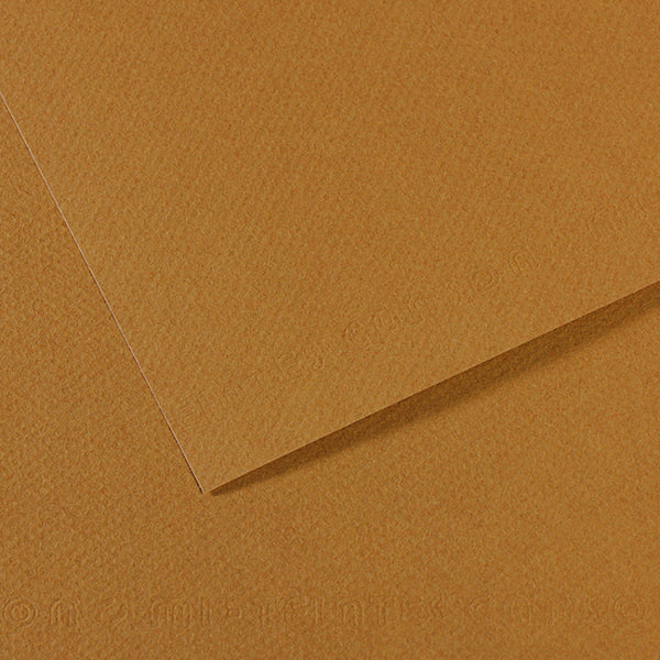 Canson 19in x 25in Artist Series Mi-Teintes Sheets