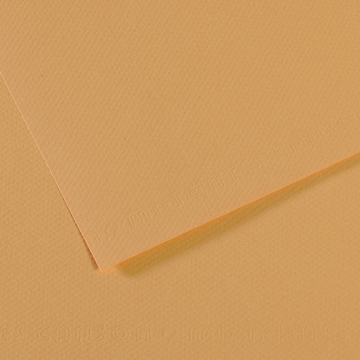 Canson 19in x 25in Artist Series Mi-Teintes Sheets