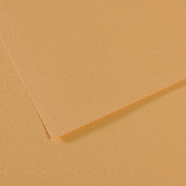 Canson 19in x 25in Artist Series Mi-Teintes Sheets