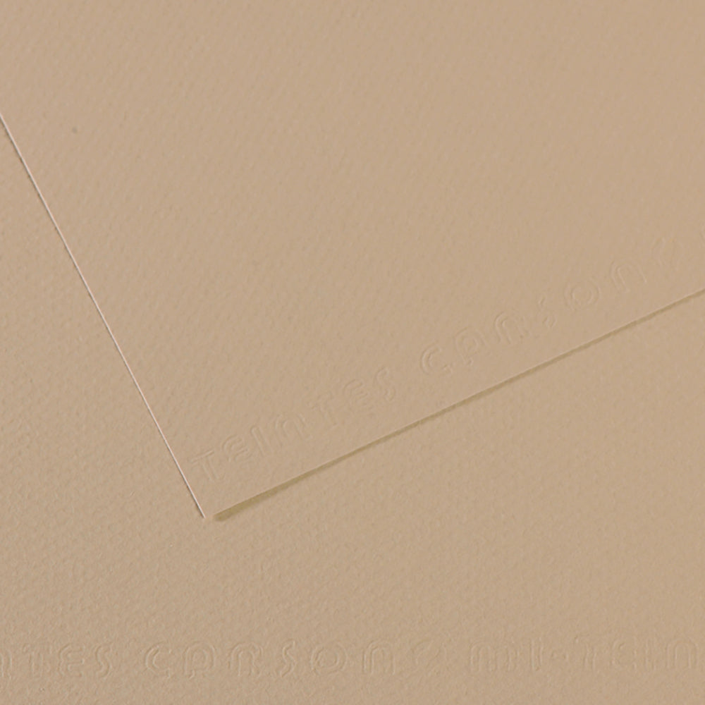 Canson 19in x 25in Artist Series Mi-Teintes Sheets