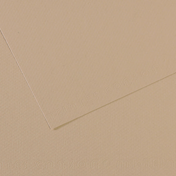 Canson 19in x 25in Artist Series Mi-Teintes Sheets