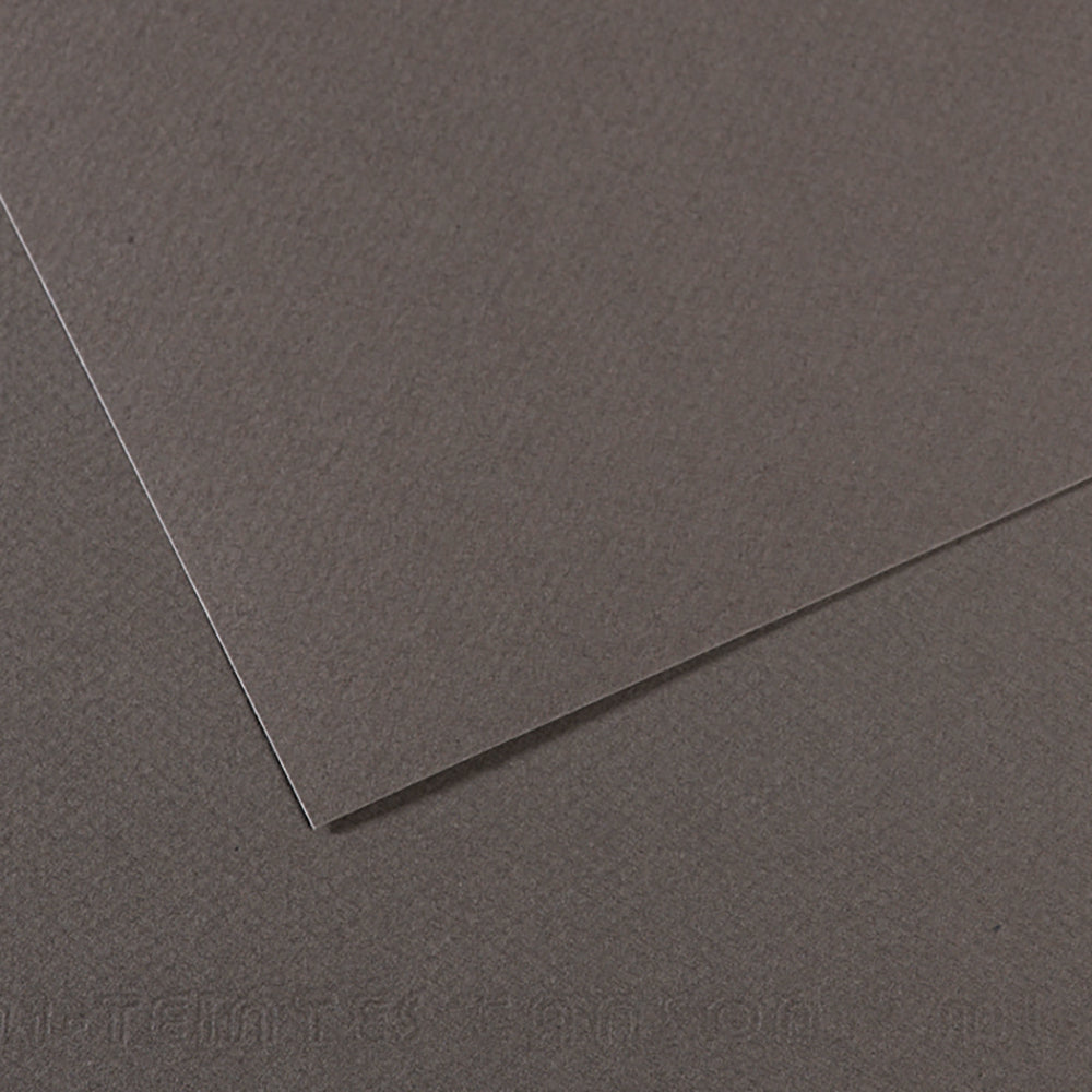 Canson 19in x 25in Artist Series Mi-Teintes Sheets
