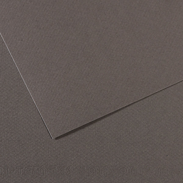 Canson 19in x 25in Artist Series Mi-Teintes Sheets