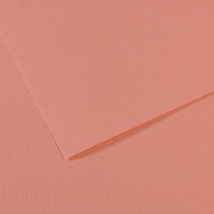 Canson 19in x 25in Artist Series Mi-Teintes Sheets