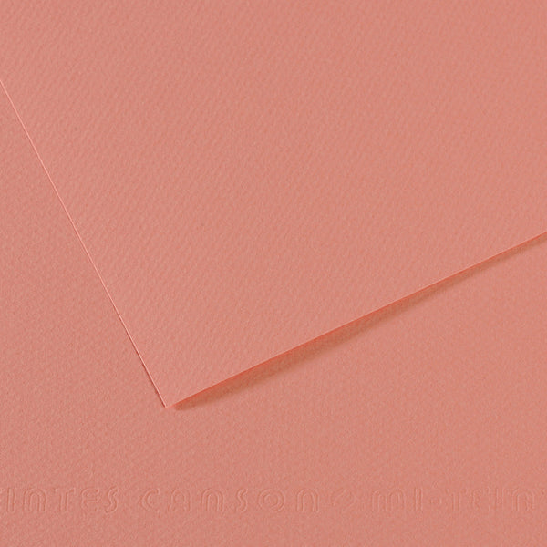 Canson 19in x 25in Artist Series Mi-Teintes Sheets