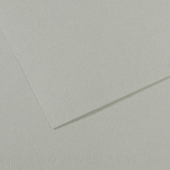 Canson 19in x 25in Artist Series Mi-Teintes Sheets