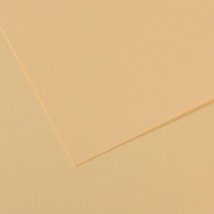Canson 19in x 25in Artist Series Mi-Teintes Sheets