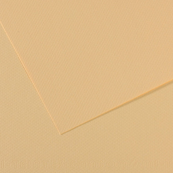 Canson 19in x 25in Artist Series Mi-Teintes Sheets