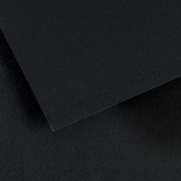 Canson 19in x 25in Artist Series Mi-Teintes Sheets