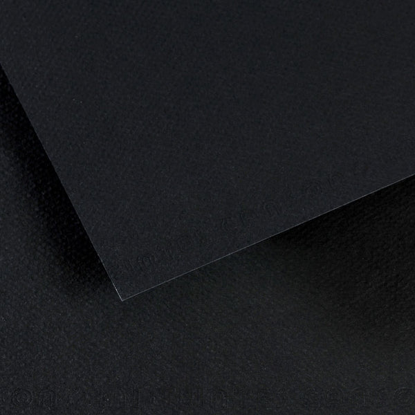 Canson 19in x 25in Artist Series Mi-Teintes Sheets