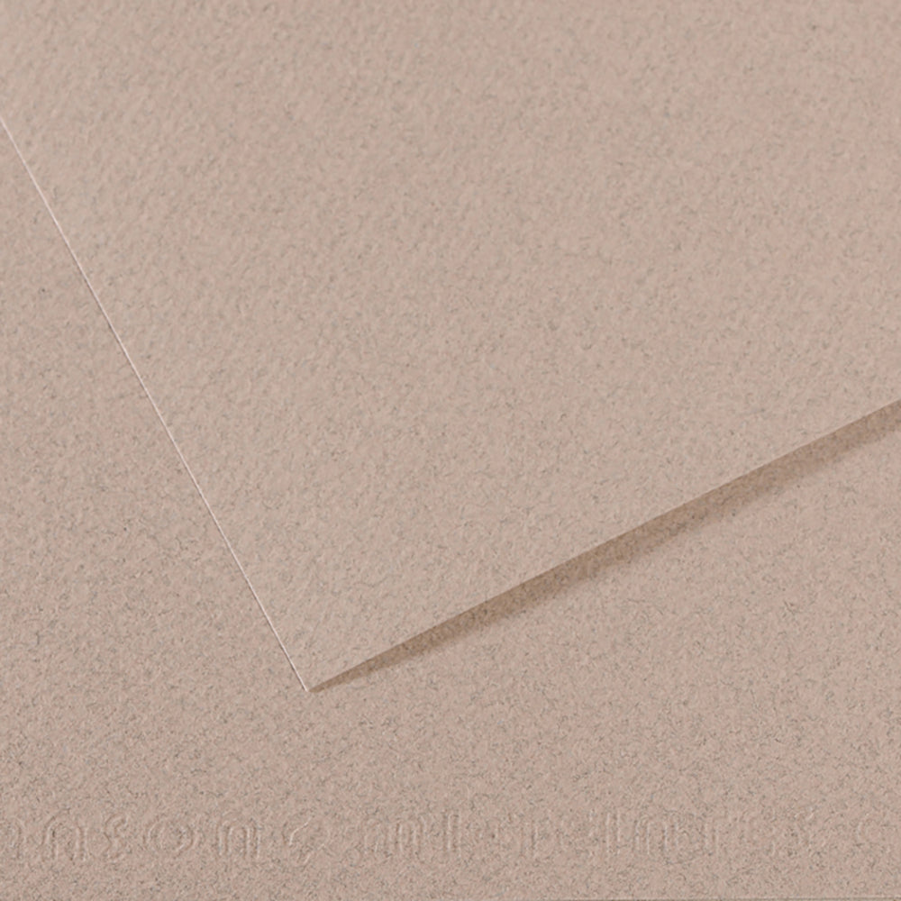 Canson 19in x 25in Artist Series Mi-Teintes Sheets
