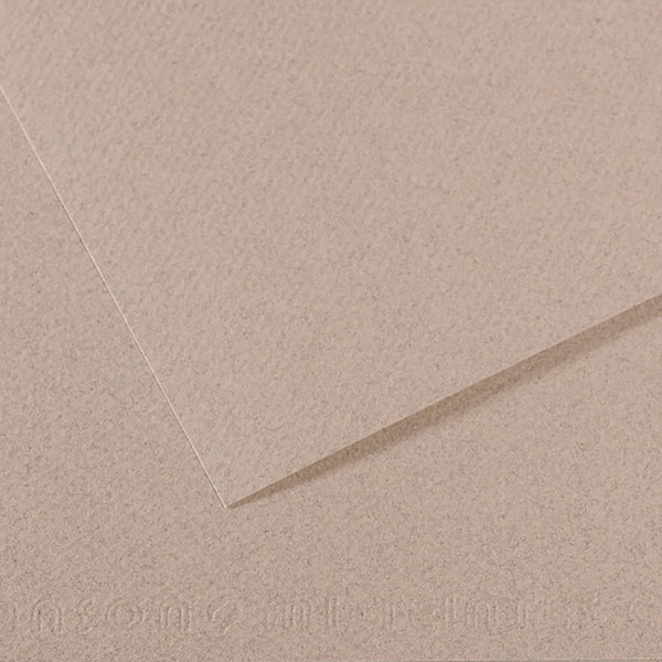 Canson 19in x 25in Artist Series Mi-Teintes Sheets
