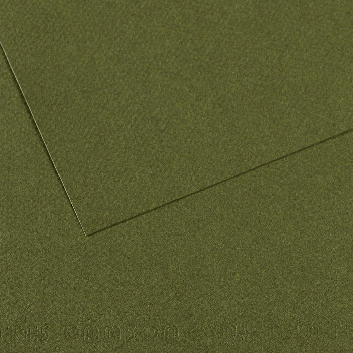 Canson 19in x 25in Artist Series Mi-Teintes Sheets