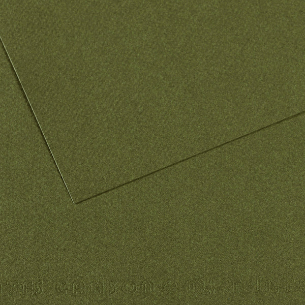Canson 19in x 25in Artist Series Mi-Teintes Sheets