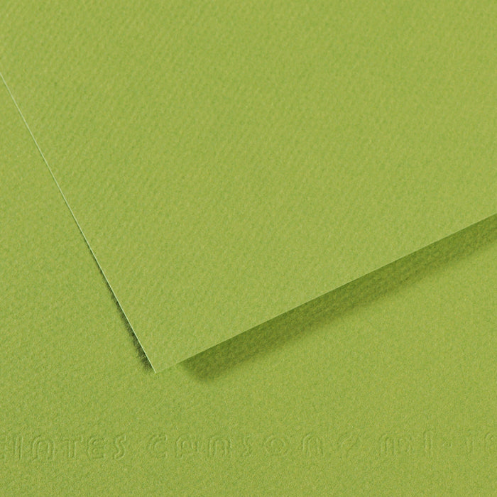 Canson 19in x 25in Artist Series Mi-Teintes Sheets
