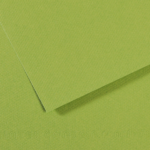 Canson 19in x 25in Artist Series Mi-Teintes Sheets
