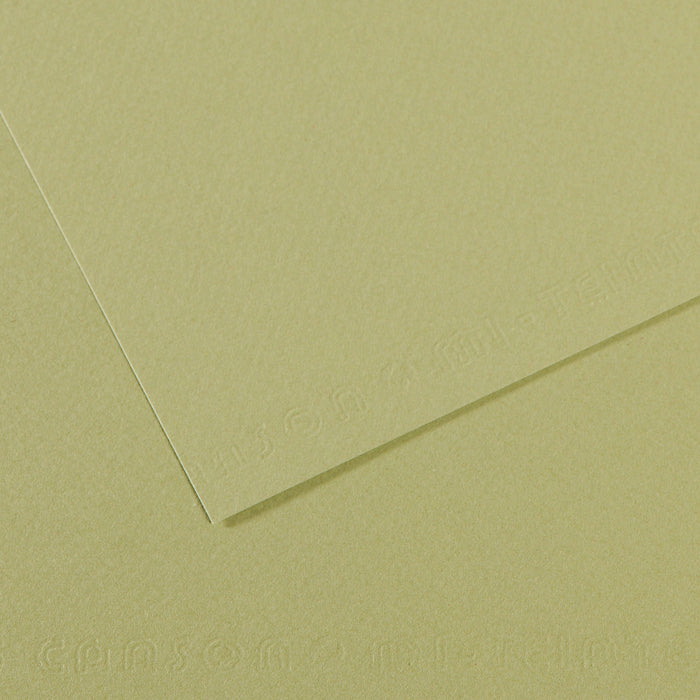 Canson 19in x 25in Artist Series Mi-Teintes Sheets