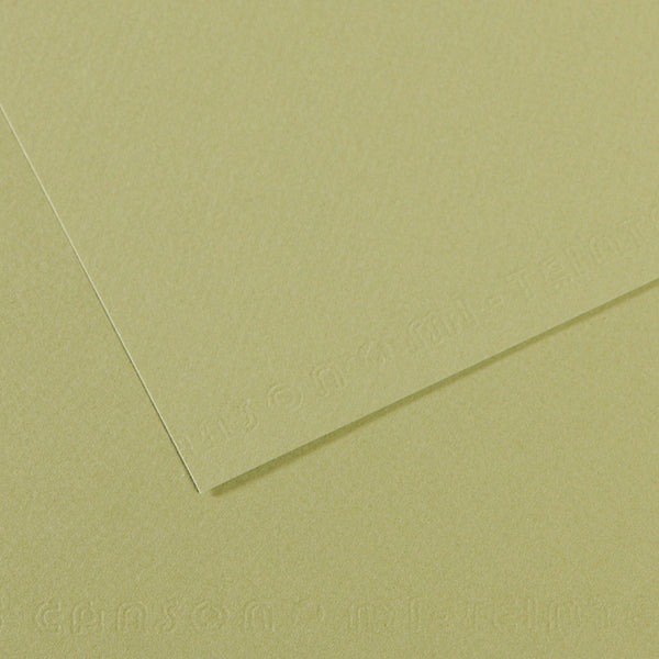 Canson 19in x 25in Artist Series Mi-Teintes Sheets