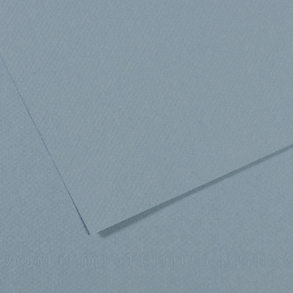 Canson 19in x 25in Artist Series Mi-Teintes Sheets