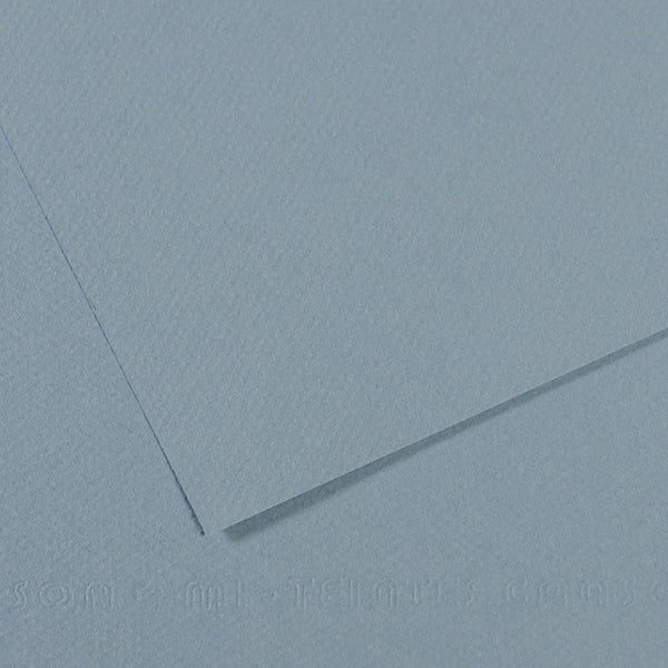 Canson 19in x 25in Artist Series Mi-Teintes Sheets