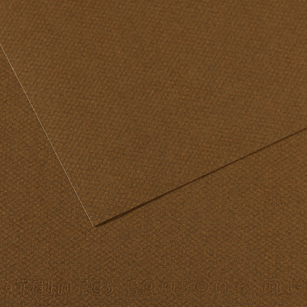 Canson 19in x 25in Artist Series Mi-Teintes Sheets