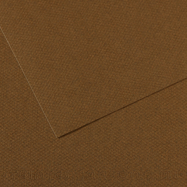 Canson 19in x 25in Artist Series Mi-Teintes Sheets