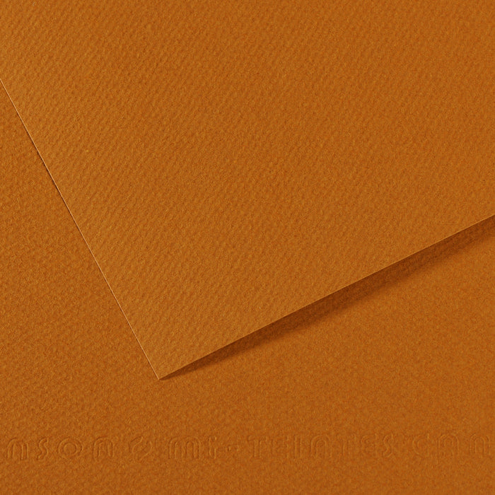 Canson 19in x 25in Artist Series Mi-Teintes Sheets