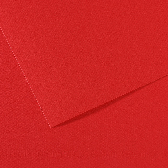 Canson 19in x 25in Artist Series Mi-Teintes Sheets