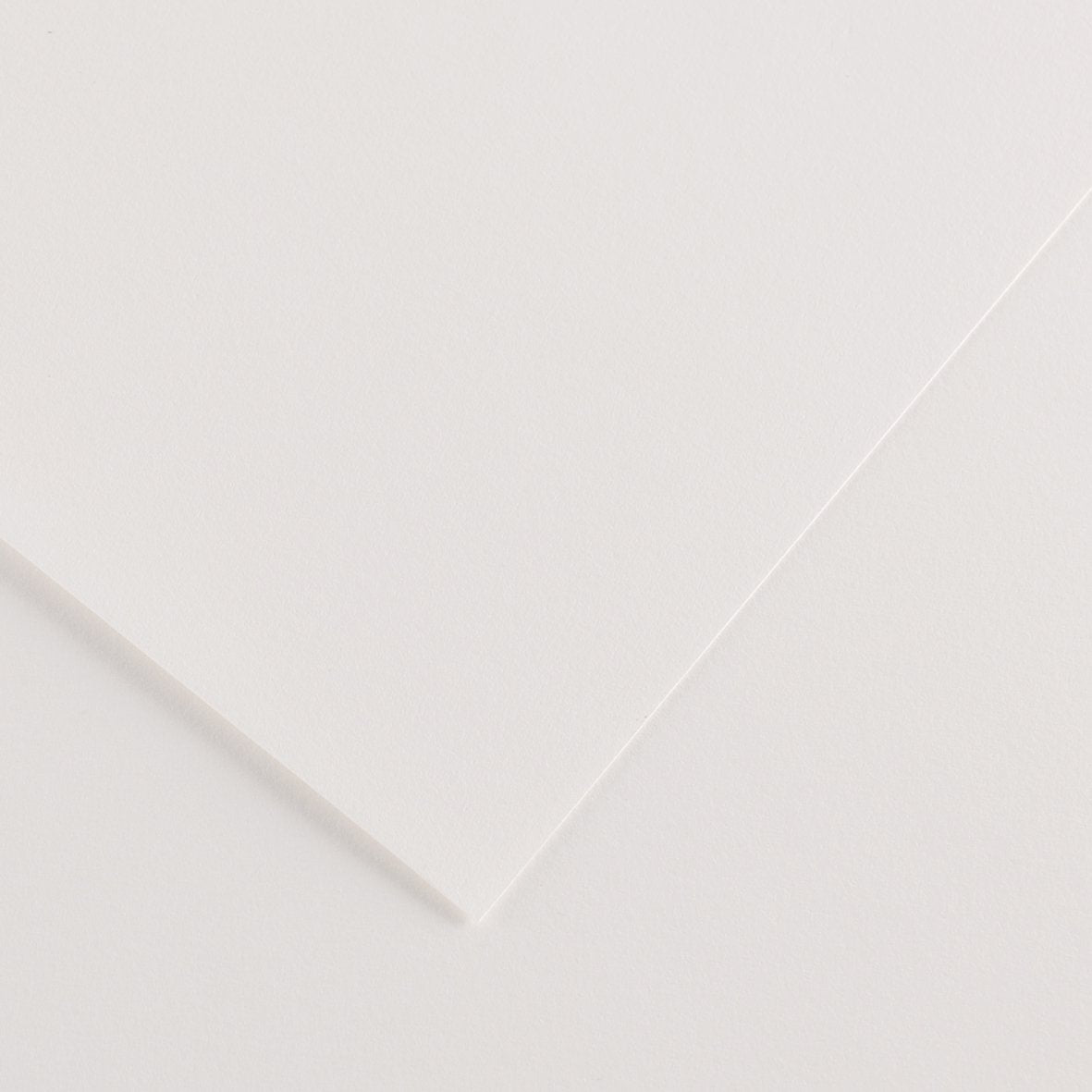 Canson 19in x 25in Colorline Sheets