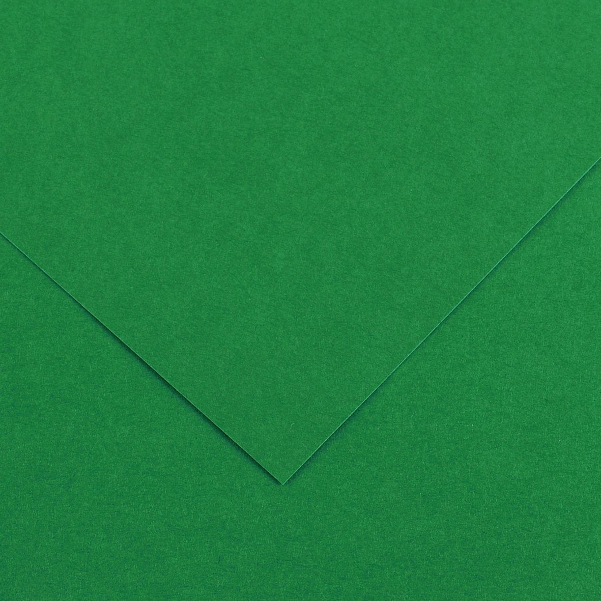 Canson 19in x 25in Colorline Sheets