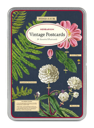 Cavallini & Co Vintage Inspired Postcards in Tins