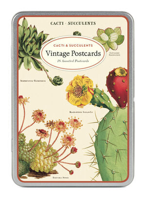 Postcards in Tin Vintage Inspired Succulents