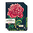 Mini Notebook Botany 3 pack