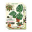 Cavallini & Co Vintage Inspired Mini Notebook Sets