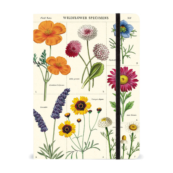 Cavallini & Co Vintage Inspired Large Notebooks