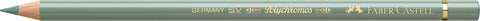 Polychromos Artist Colored Pencil Grey Green/Earth Green 172