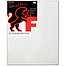 TF Standard Stretched Canvas Red Label 8x10