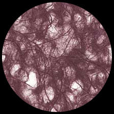 Graphic Products Ogura Lace Paper