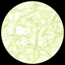 Graphic Products Ogura Lace Paper